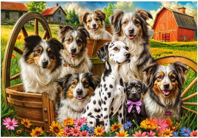 Castorland puzzle szczęśliwe psy na wsi 1000 elementów