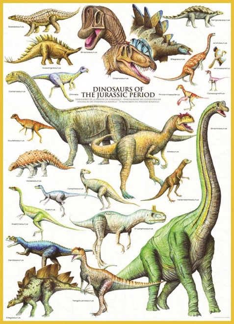 Eurographics puzzle dinozaury z okresu jurajskiego 1000 elementów
