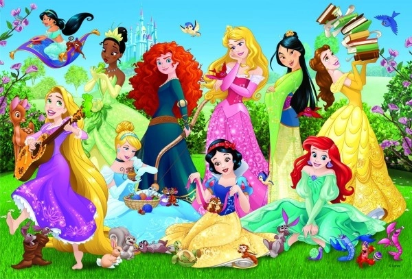Puzzle Czarujące księżniczki/Disney 100 elementów 41x27,5cm w pudełku 29x19x4cm