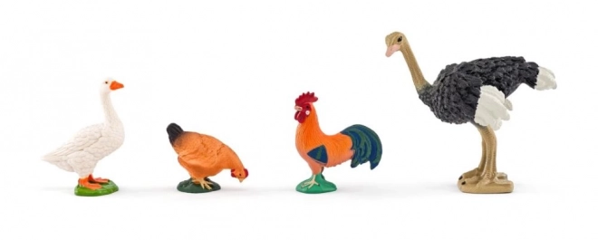 Faunica Farma ze zwierzętami domowymi