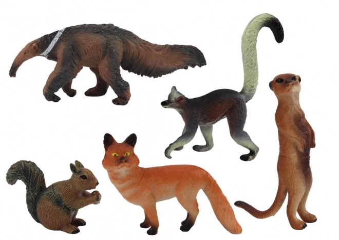 Figurki Zwierząt 5 sztuk: Wiewiórka, Surikatka, Mrówkojad, Lis, Lemur