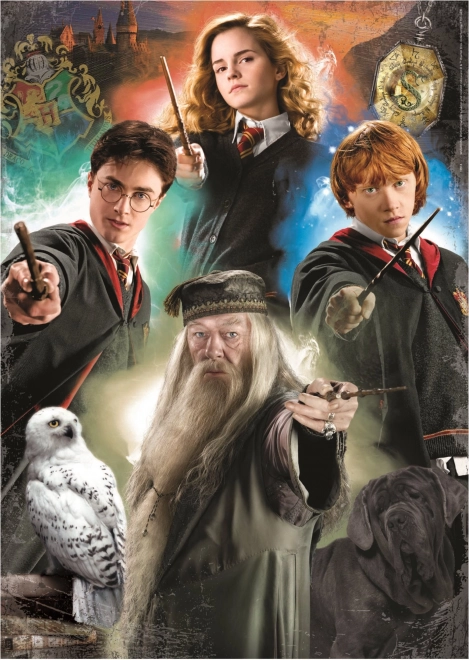 EDUCA Puzzle Harry Potter 500 części