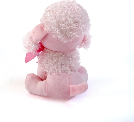 Idealny rozmiar 17 cm