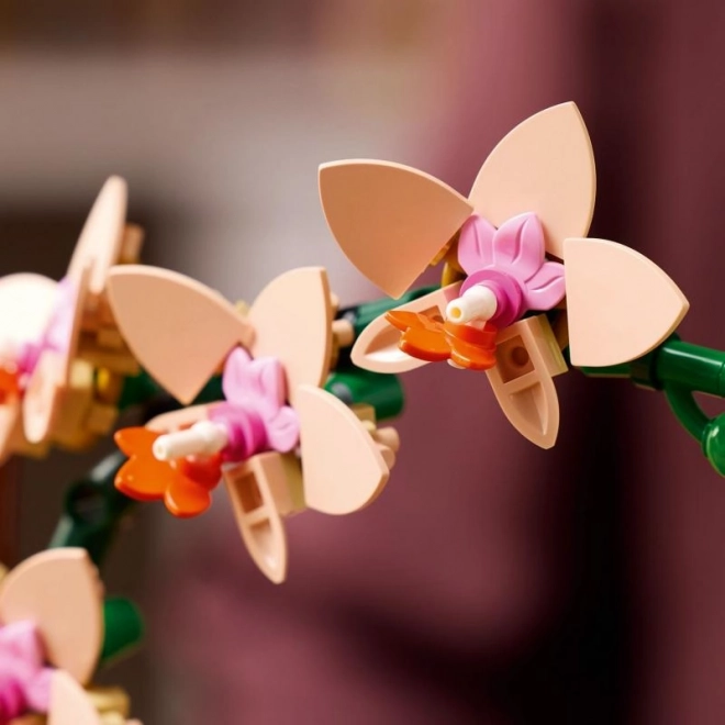 Lego Botanicals Mała Orchidea