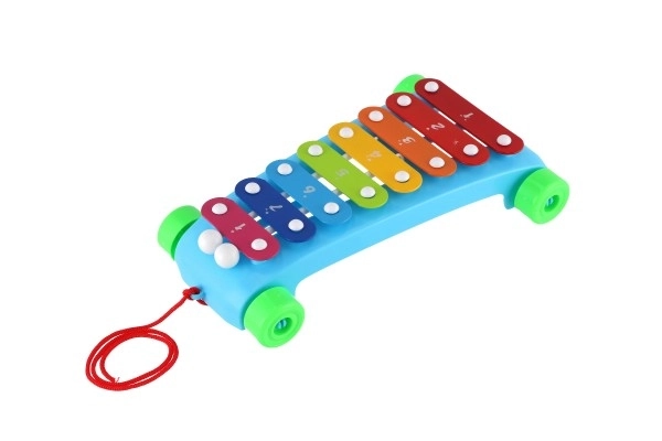 Ksylophon plastikowy/metalowy 24 cm z pałeczkami 2 kolory w woreczku 19x31x6 cm