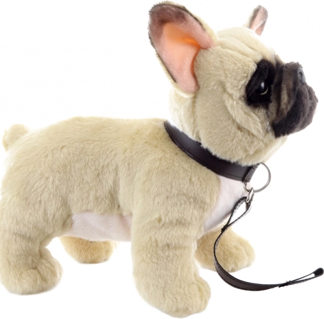 Puszysty Francuski Buldog z Smyczą 26 cm Ekologiczny