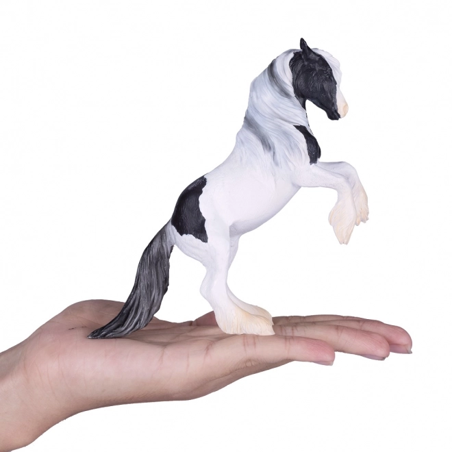 Mojo Ogier Gypsy Vanner