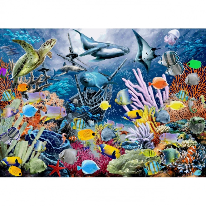 Puzzle Kolorowe Morze 1000 elementów