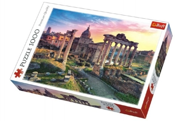 Puzzle Rzym 1000 elementów w pudełku 40x27x6cm