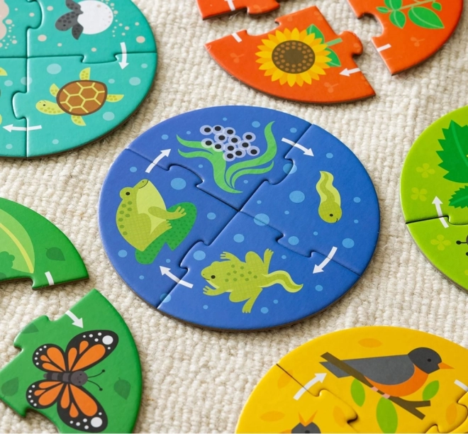 Petit Collage Puzzle Odkrywcy Cykl życia