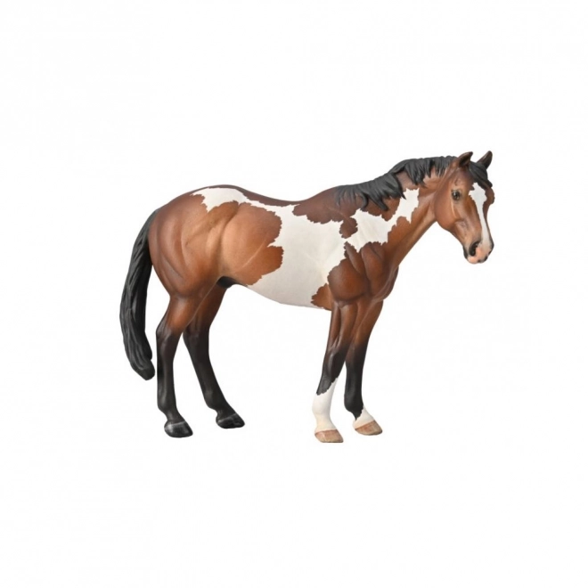 Ogier Appaloosa Bay Overo Paint