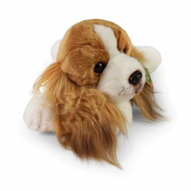 Rappa Pluszowy pies Cocker Spaniel leżący 30 cm EKOLOGICZNY