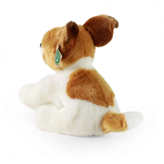 Pluszowy pies jack russell terier siedzący 30 cm ECO-FRIENDLY