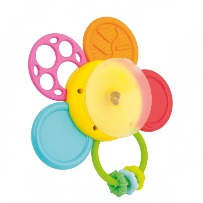 Grzechotka Daisy