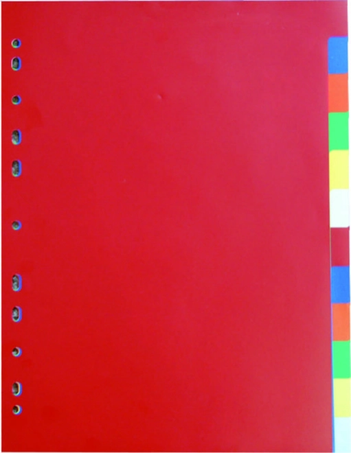 Rozdzielacz dokumentów A4 2x6 kolorów