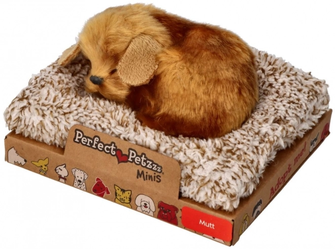 Mały piesek Perfect Petzzz