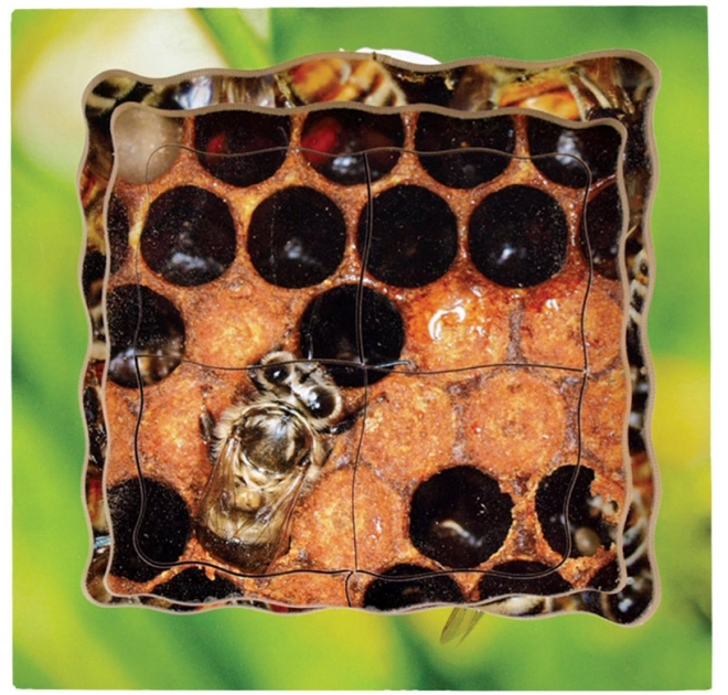 Just Jigsaws 600 Pszczoła – drewniane warstwowe puzzle