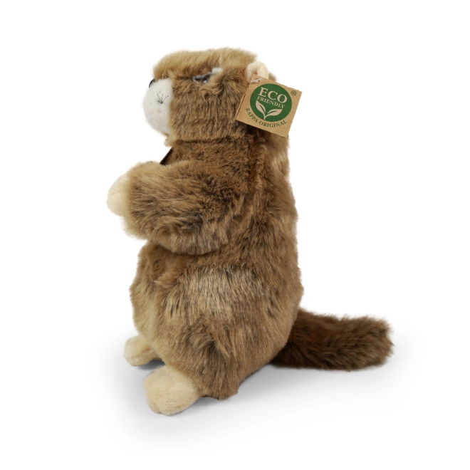 Eco-friendly wypełnienie z butelek PET