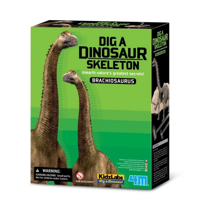 Zestaw naukowy do wykopalisk - Brachiosaurus