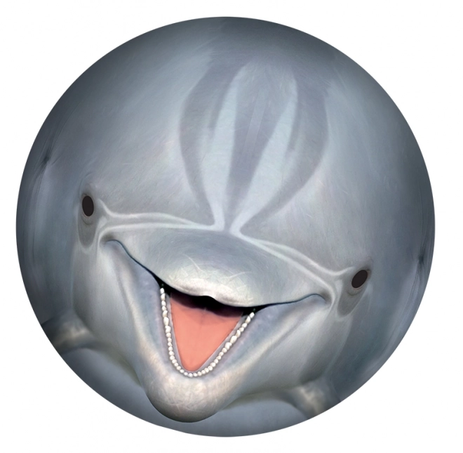 SPORTO Podwodna piłka - delfin