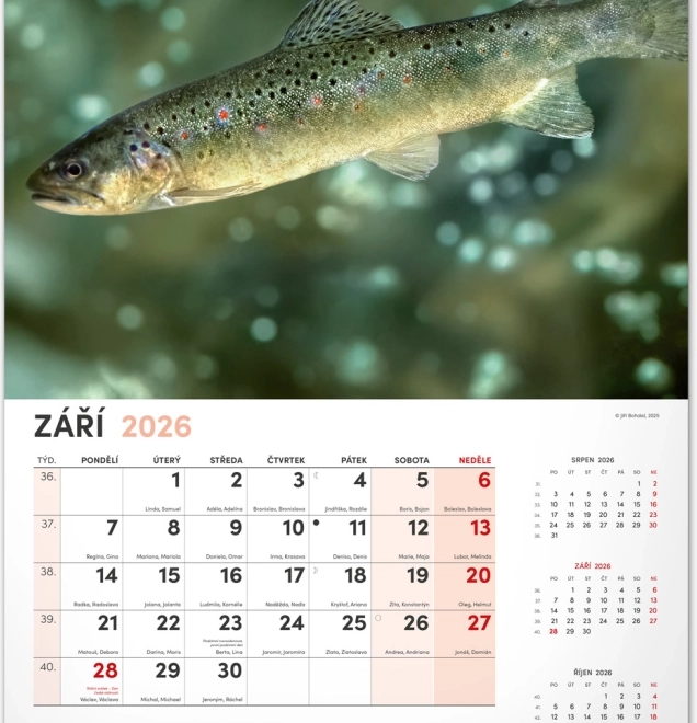 Kalendarz ścienny Wędkarski 2026