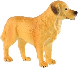 Kompaktowy rozmiar 10 cm