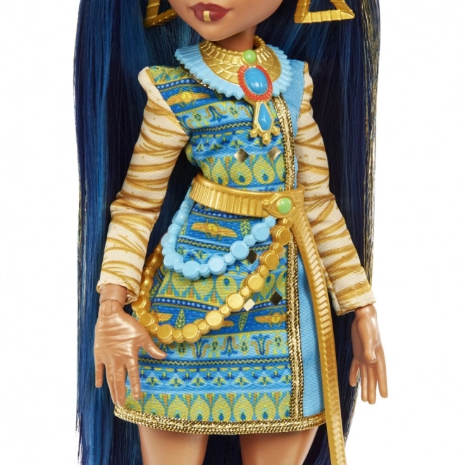 Monster High lalka z akcesoriami