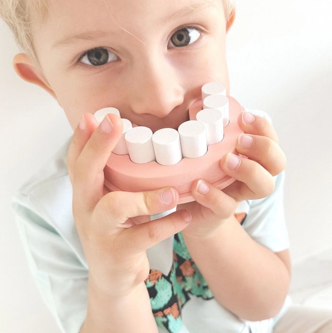 Zestaw małego dentysty w kufrze od TOOKY TOY