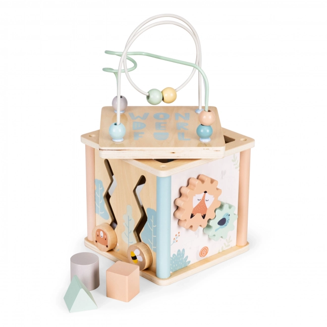 Drewniane edukacyjne klocki Ecotoys