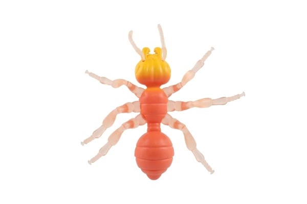 Antystresowa Mrówka