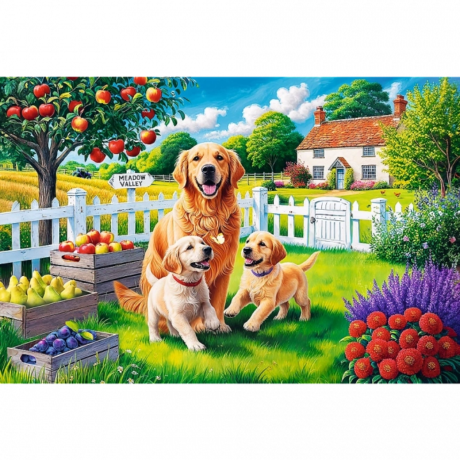 Puzzle - 300 elementów - Psy na wsi Trefl