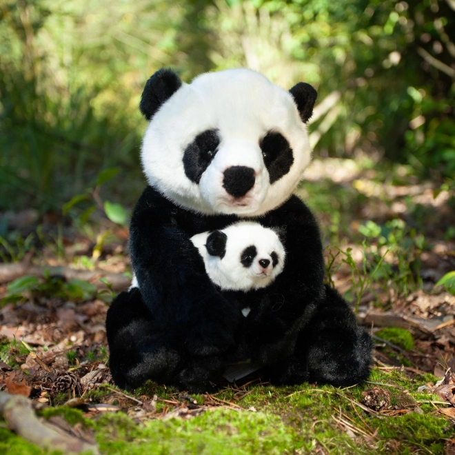 Rappa Pluszowa panda z młodym 27 cm ECO-FRIENDLY