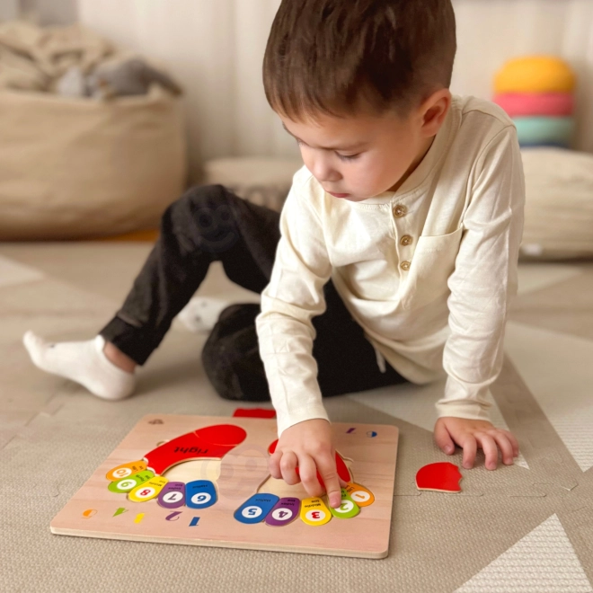 Tooky Toy drewniana edukacyjna układanka nóżki do nauki liczenia i kolorów