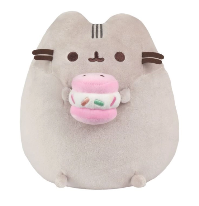 Uroczy design Pusheen z makaroniką