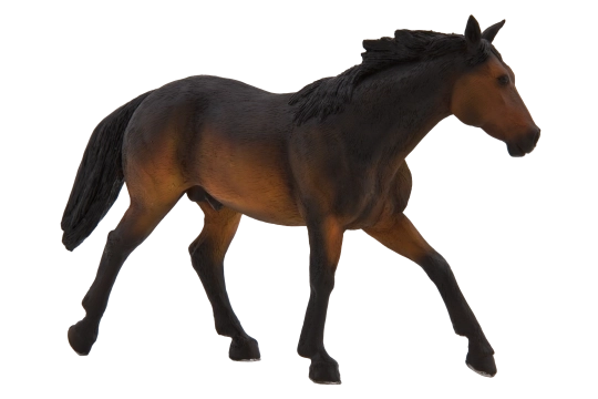 Mojo figurka quarter horse gniady extra duża