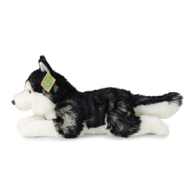 Pluszowy pies husky 36 cm PRZYJAZNY DLA ŚRODOWISKA