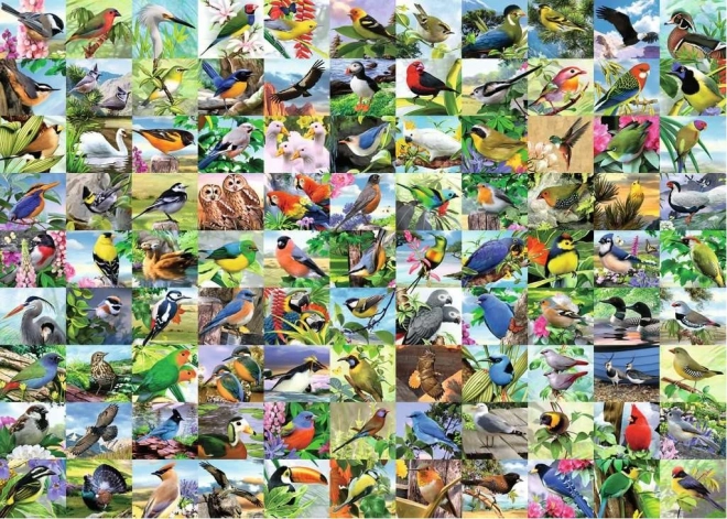 Puzzle 2D duży format – 99 czarujących ptaków, 300 elementów