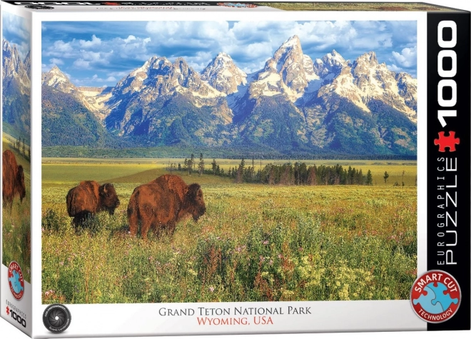 Puzzle piękny Park Narodowy Grand Teton 1000 elementów