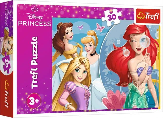 Motyw księżniczek DISNEY PRINCESS