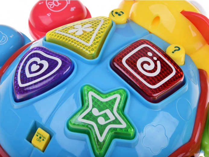 Muzyka i efekty świetlne