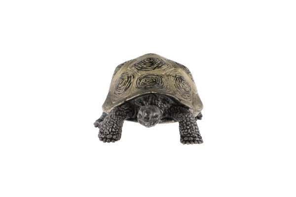 słoń żółw zooted plasterek 8cm w woreczku