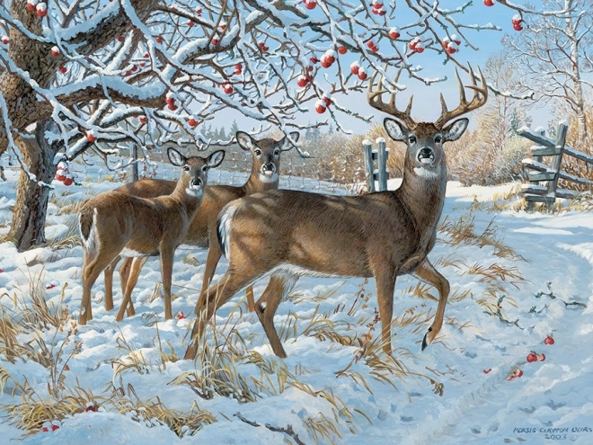 Puzzle Jelenie zimą 500 elementów