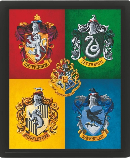 Kolorowy obraz 3D Harry Potter