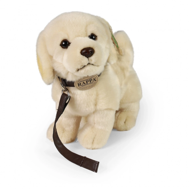 Pluszowy pies Golden Retriever z smyczą 25 cm