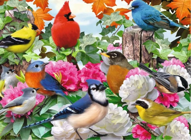 Ravensburger puzzle Ogrodowe ptaki 500 elementów