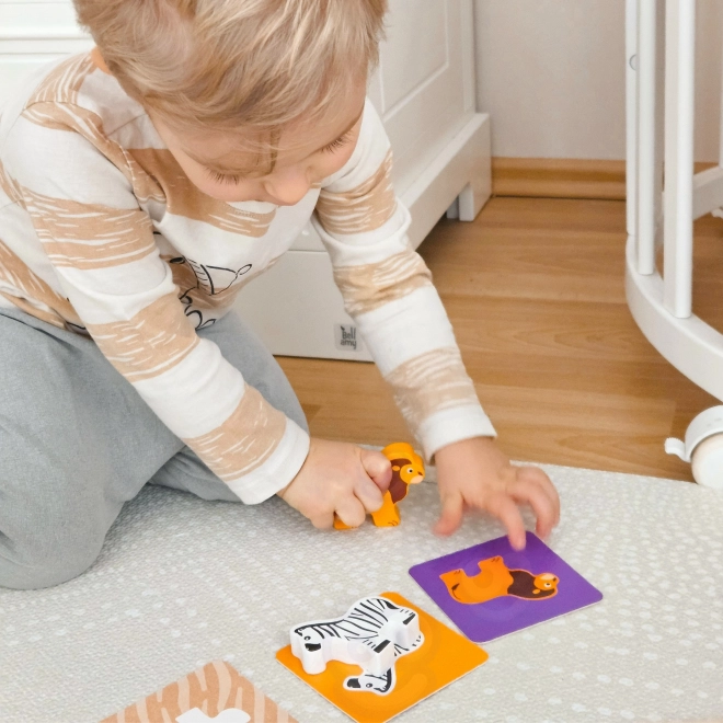 Gra Montessori
