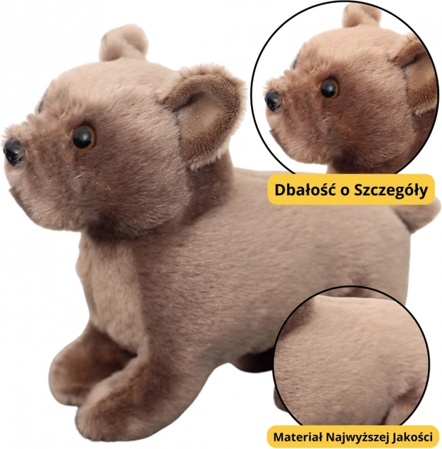 Brązowy pluszowy piesek 19cm