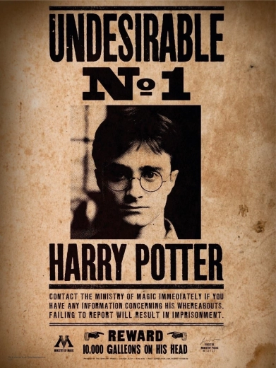Mini puzzle HARRY POTTER 50 elementów – plakat
