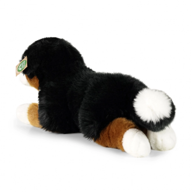 Pluszowy berneński pies pasterski leżący 44 cm ECO-FRIENDLY