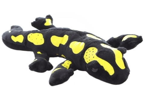 Pluszowa salamandra